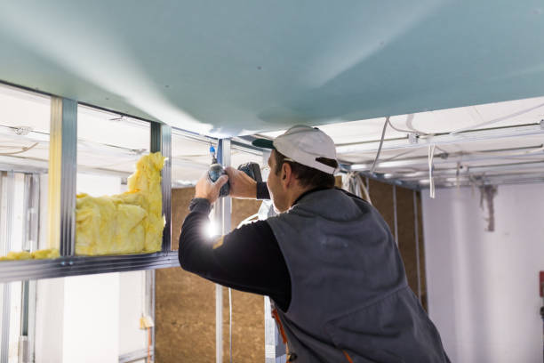Best Insulation Maintenance and Repair in White Pigeon, MI